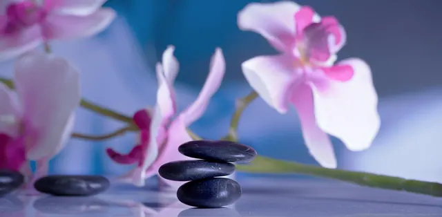 massage, recreation, relaxation, quiet, relax, wellness, recover, spa, relaxing, physio, physical therapy, meditation, health, therapy, balance, orchid, reflection, wellness, spa, 